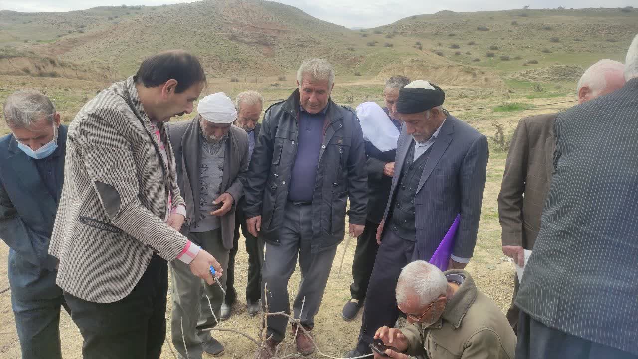 انتقال بخشوده3.jpg